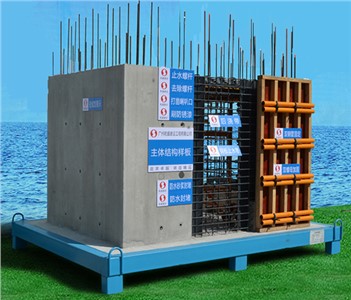 止水鋼板主體結構樣板(剪力墻結構) 止水鋼板主體結構樣板(剪力墻結構)