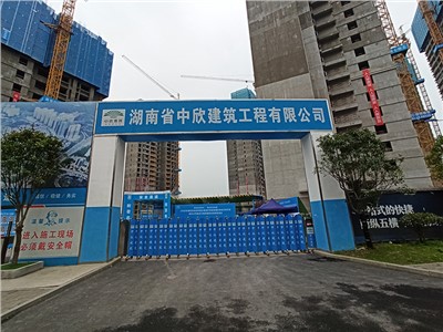 中欣集團_楚天御府項目 中欣集團_楚天御府項目